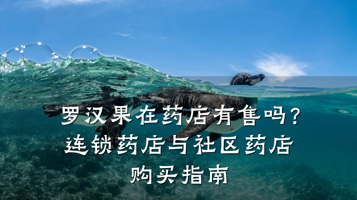 罗汉果在药店有售吗?连锁药店与社区药店购买指南