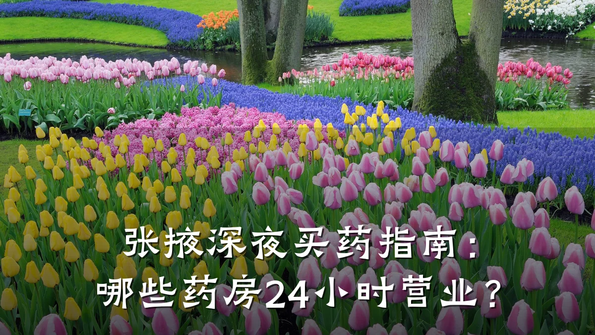 张掖深夜买药指南:哪些药房24小时营业?